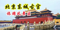 8啦8啦色狼屋嗨咻阁中国北京-东城古宫旅游风景区